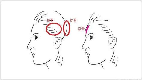 枕骨面相|面相